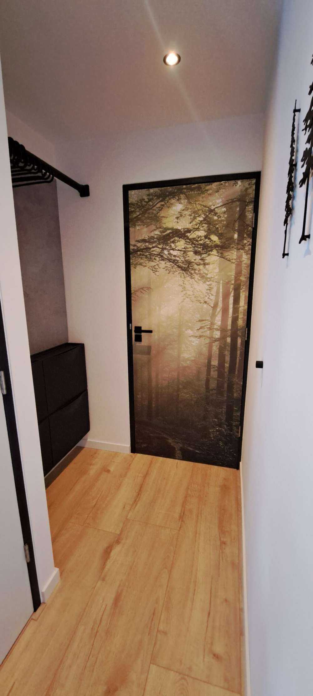 Grønn skog i tåken