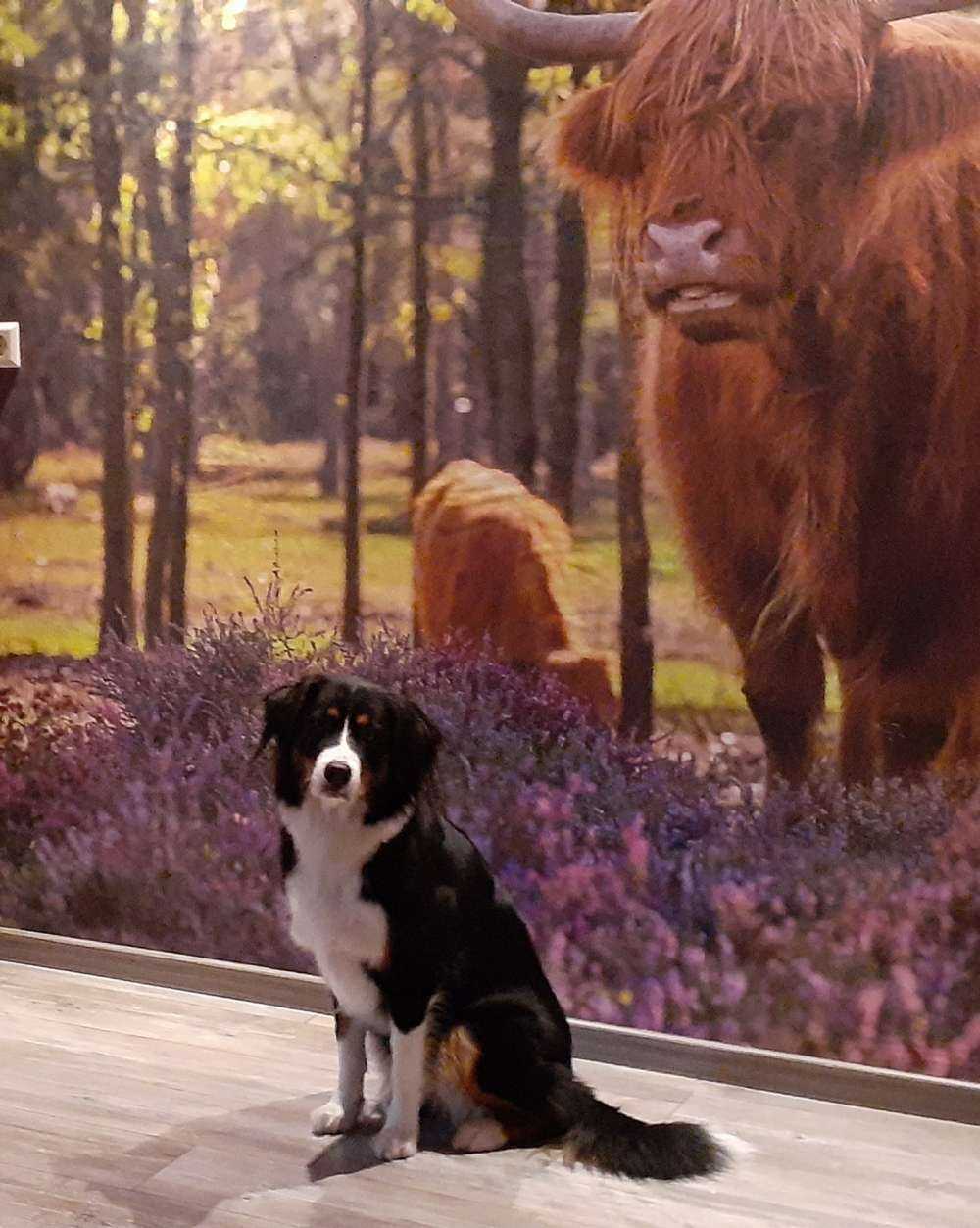 høyland i naturreservat