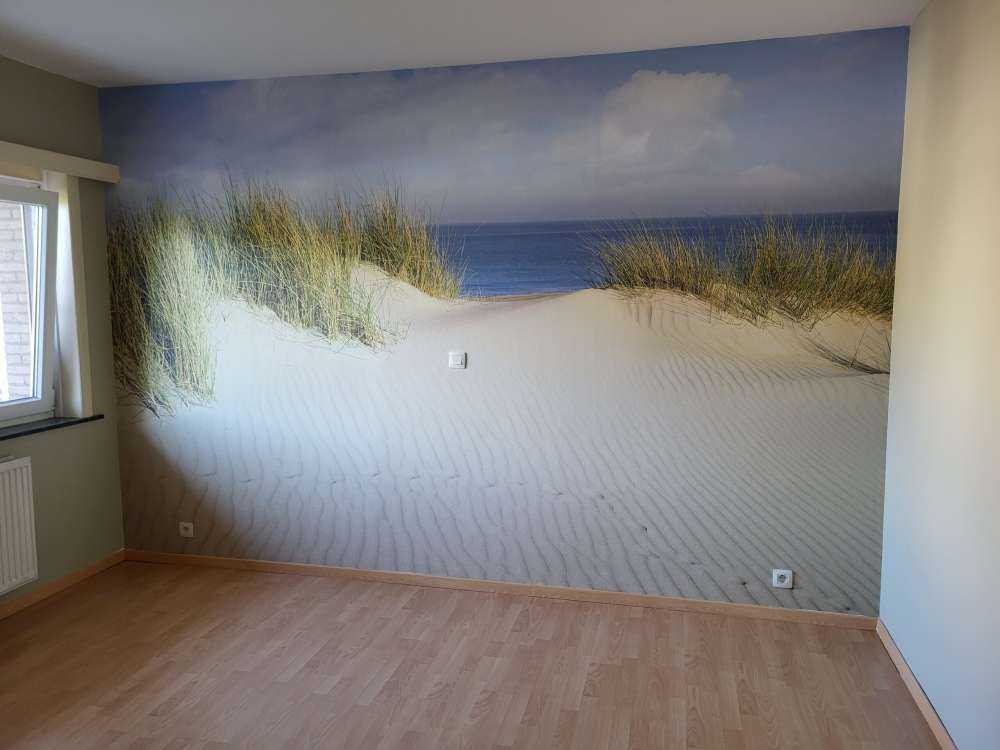 Dune går til stranden