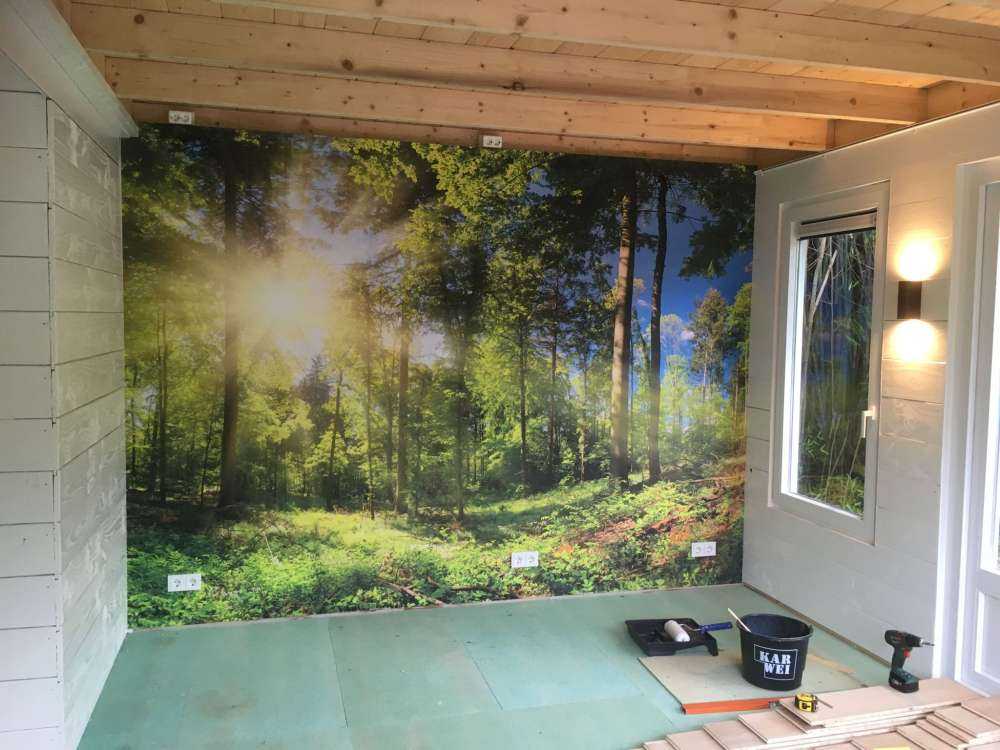 Skog med solstråler