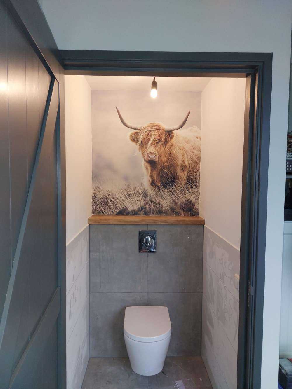 Det skotske høylandet i naturen