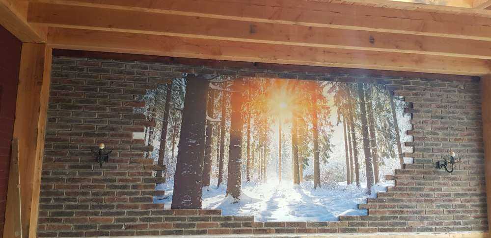 Solljus i vinterskog