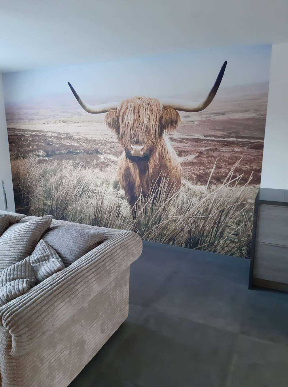 Skotsk hoglandare med vass