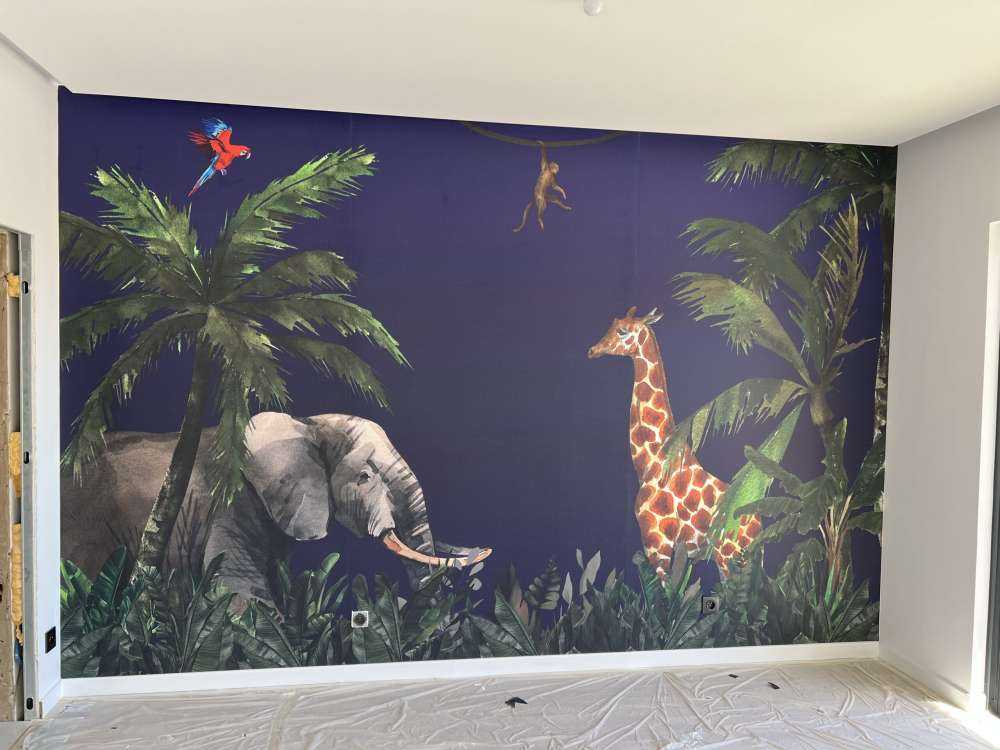 Jungeldyrr om natten