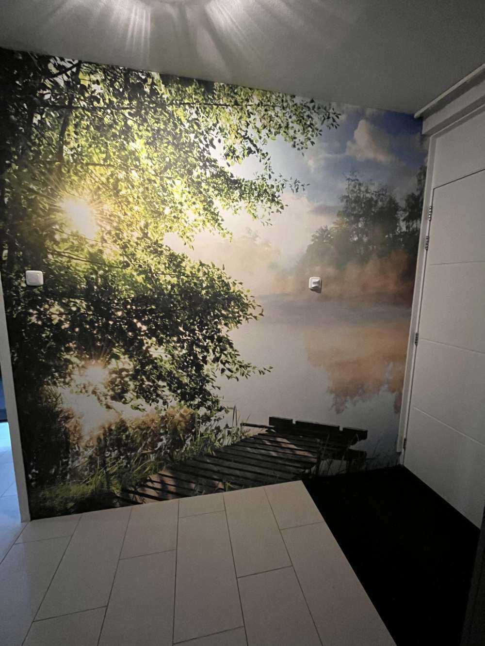 Tåget strøm