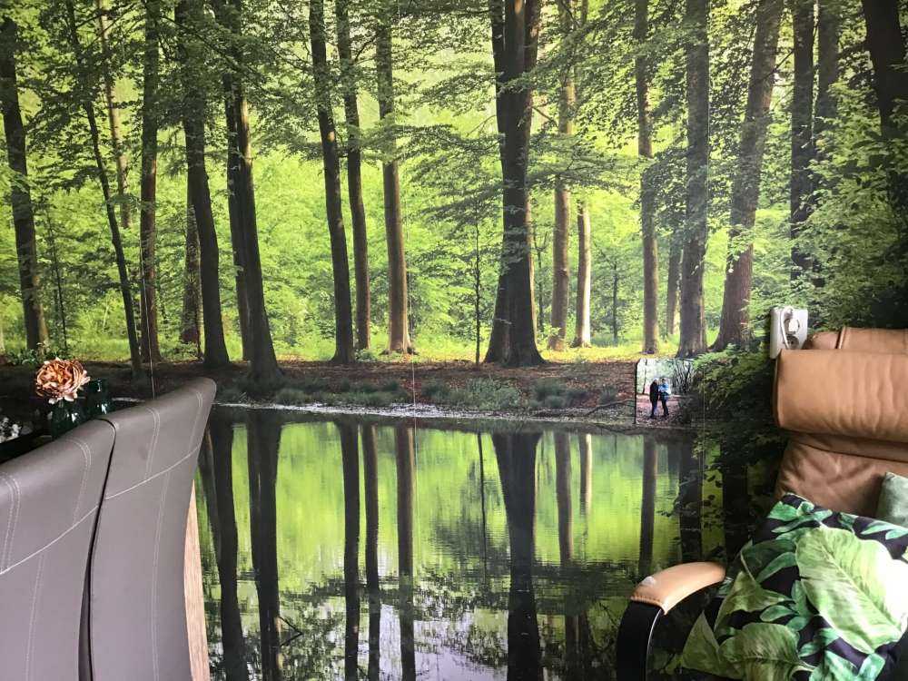 Træers refleksion i vand