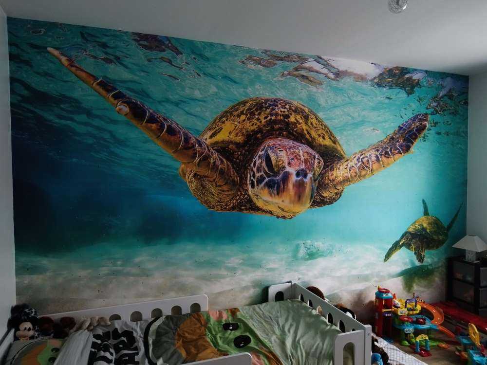 Havssköldpadda i havet