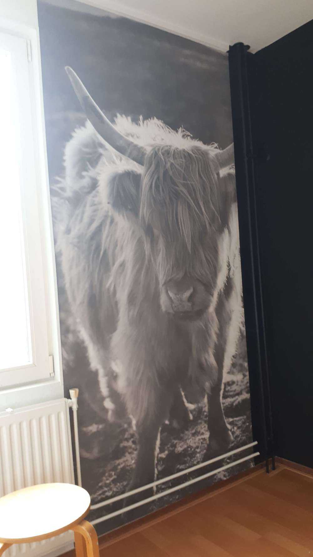 Det skotske høylandet i solen