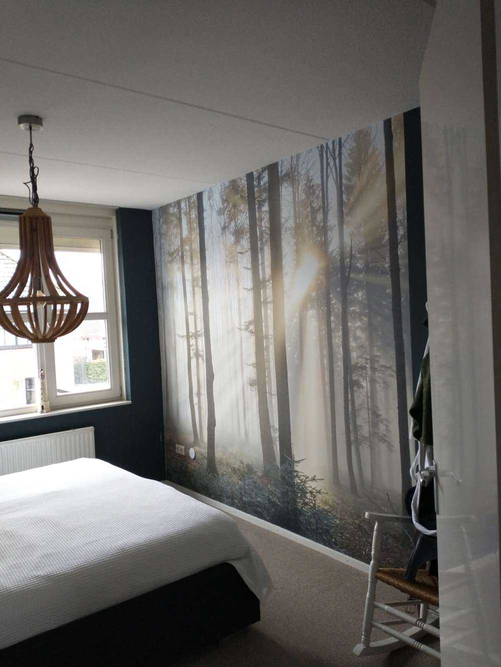 Den tåke skogen