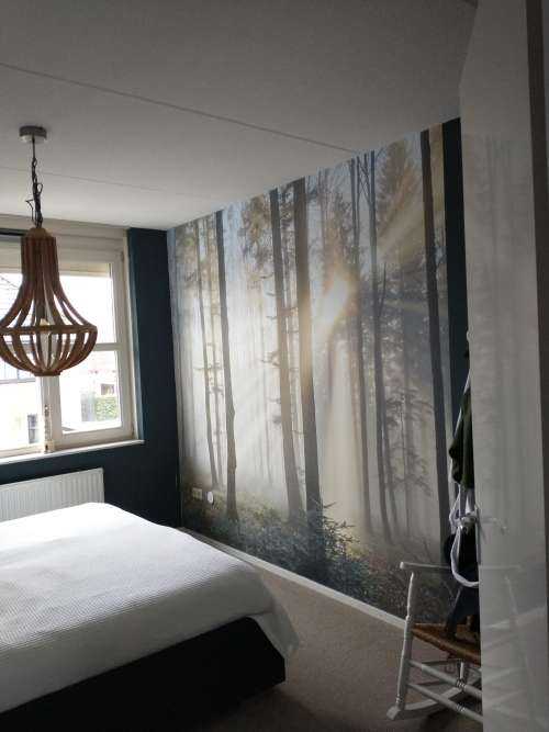 Den tåke skogen