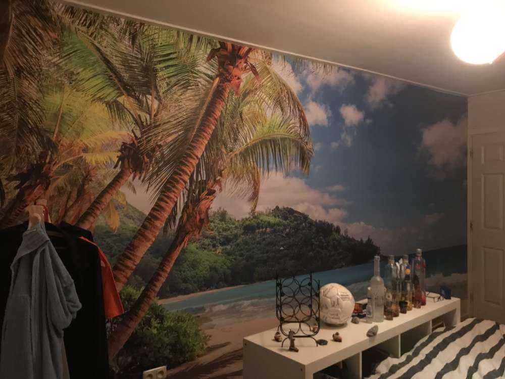 Vakker strand med palmer