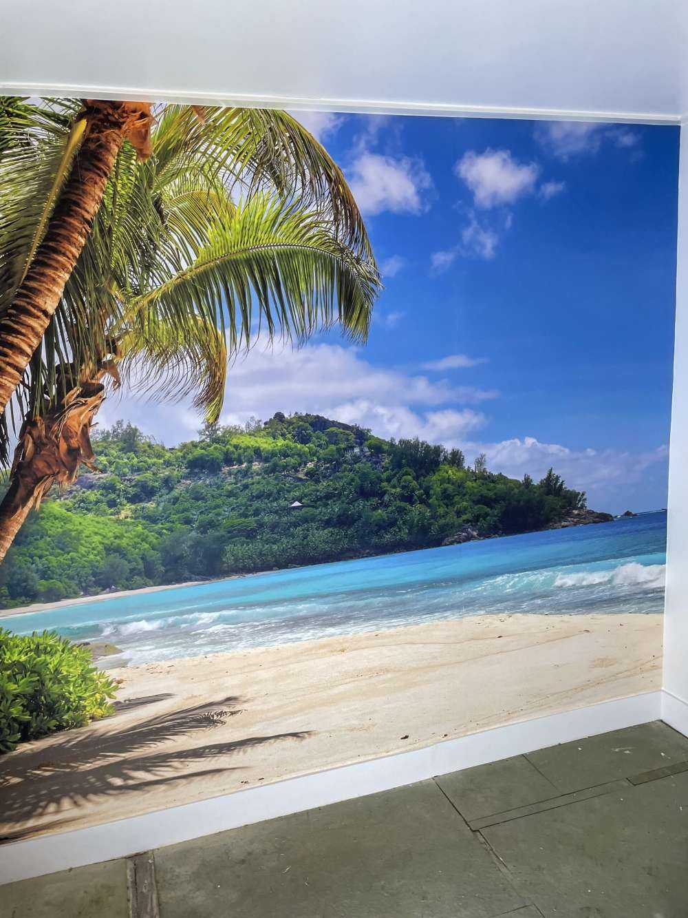 Smuk strand med palmer - Fototapet, image size:1000x1333