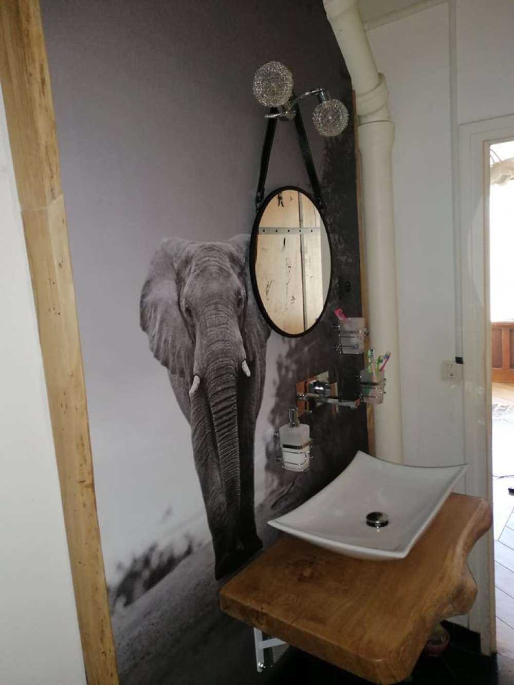 Elefant i solnedgangen