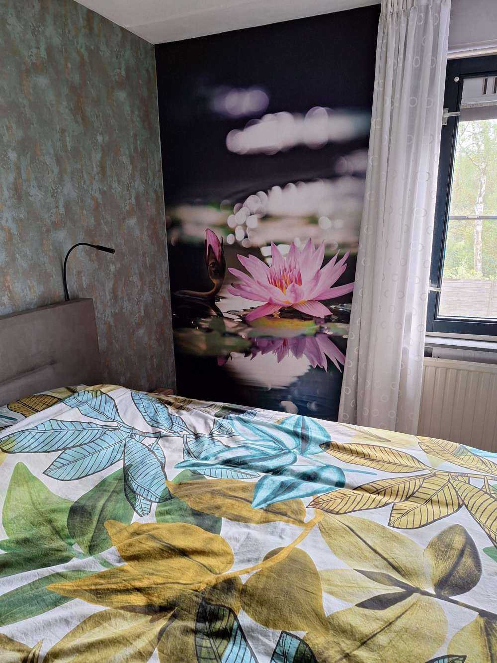 Lotusblomst lyserød