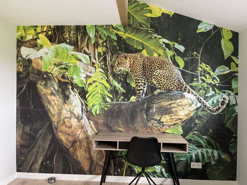 Leopard på en gren