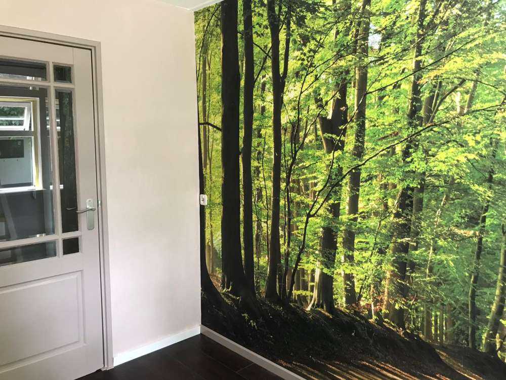 Solrik vei gjennom en skog