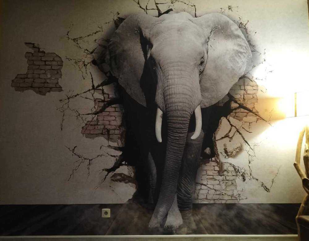 3D elefant fra veggen