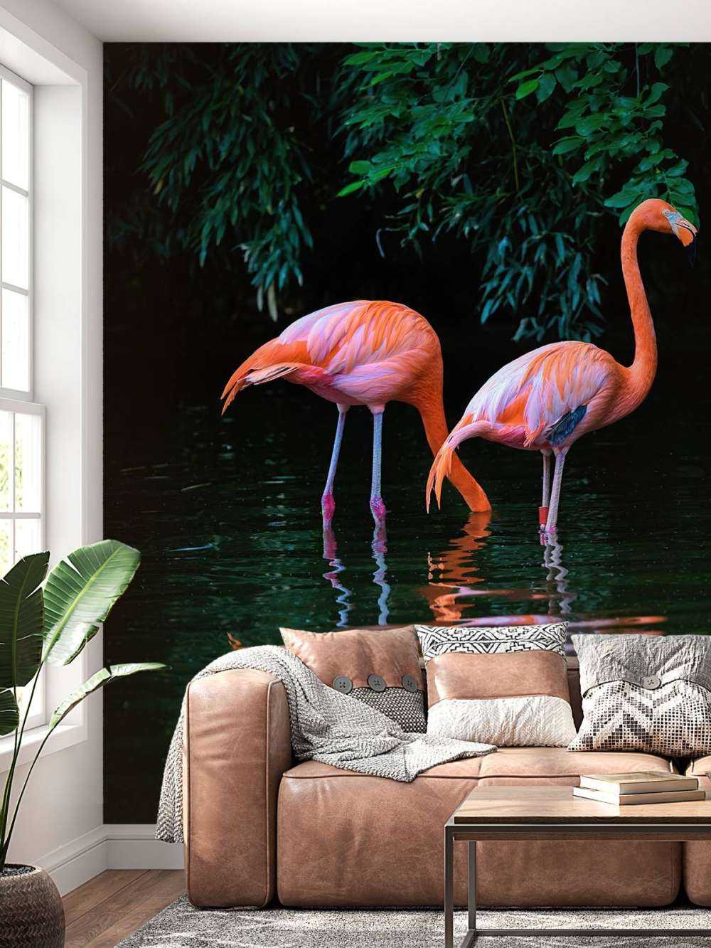 To bilibiske flamingoer