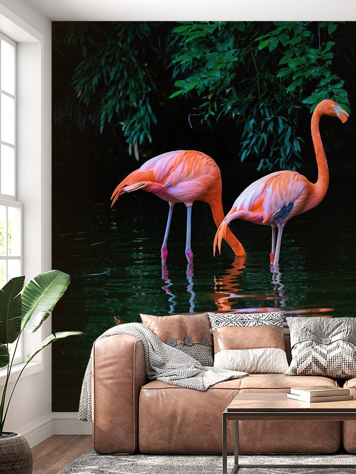 To bilibiske flamingoer