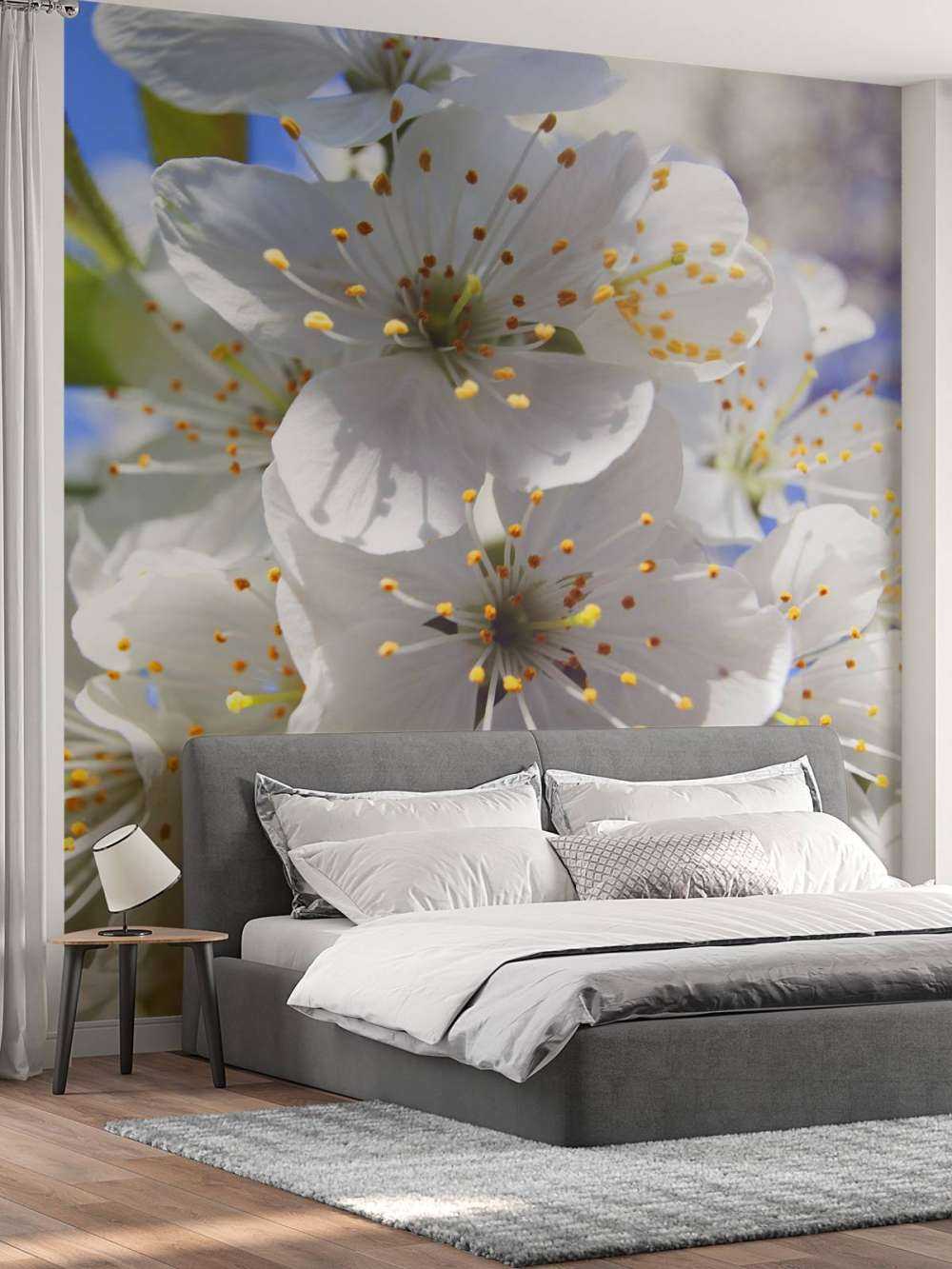 Nærbillede af hvide blomster