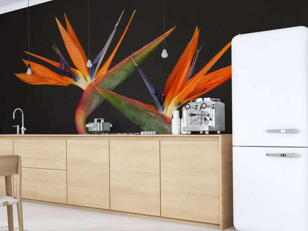 Paradisfuglens blomster