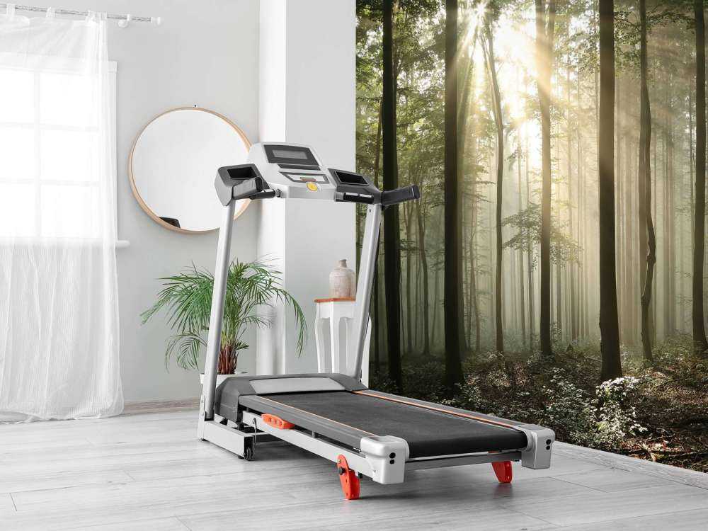 Efterårets løvskov