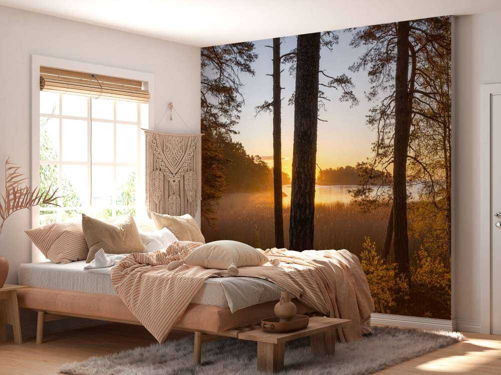 Skov ved solnedgang