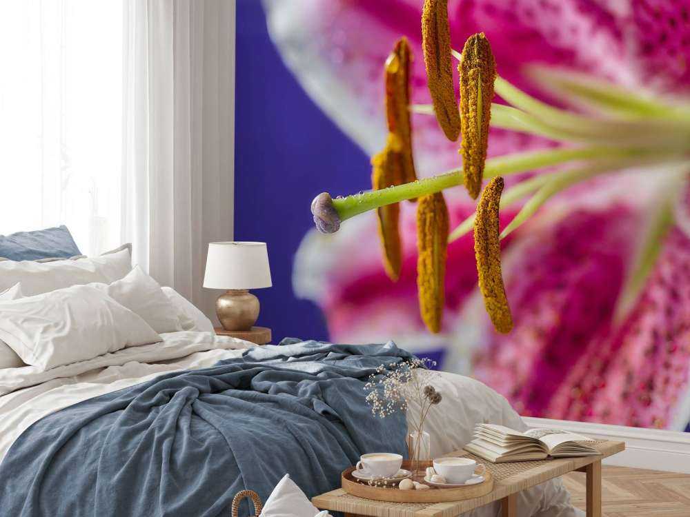 Nærbillede af lyserød blomst