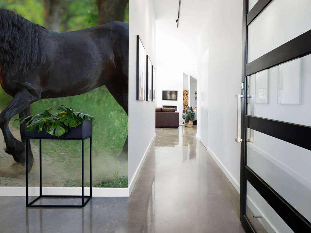 Skitserede enhjørninger