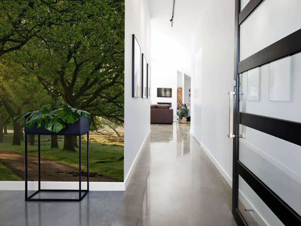 Sti mellem egetræer