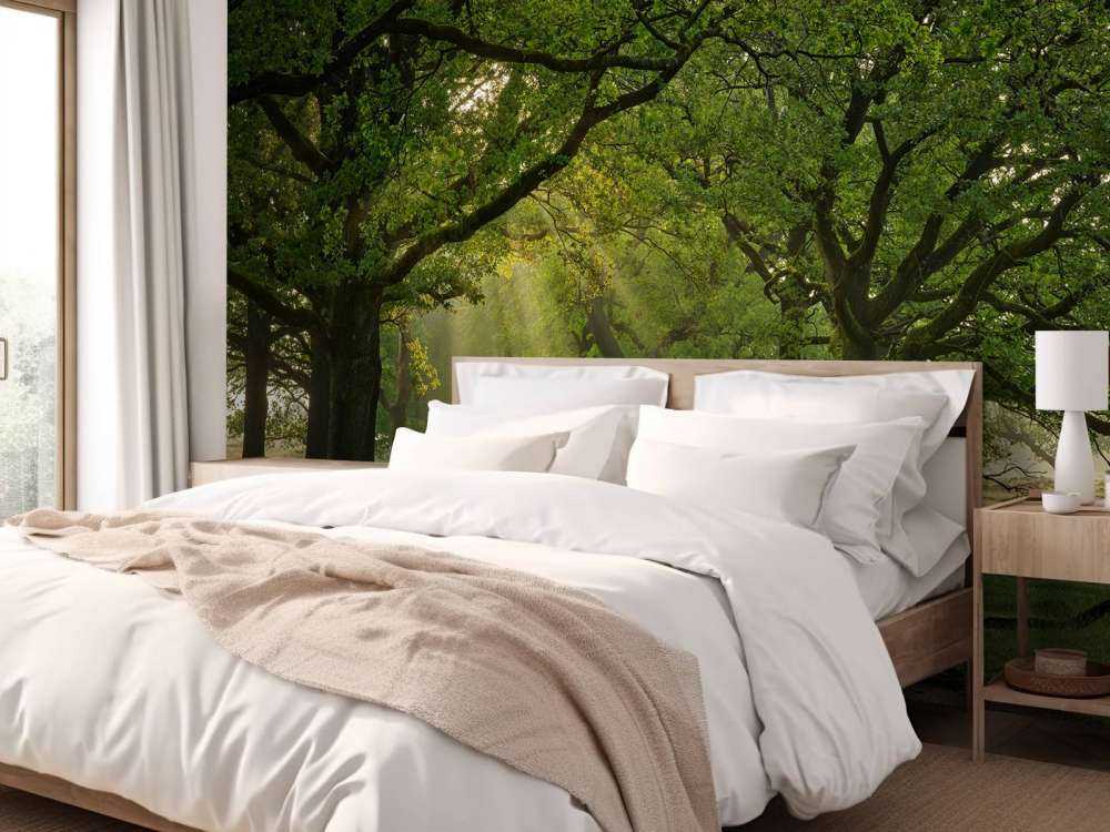 Sti mellem egetræer