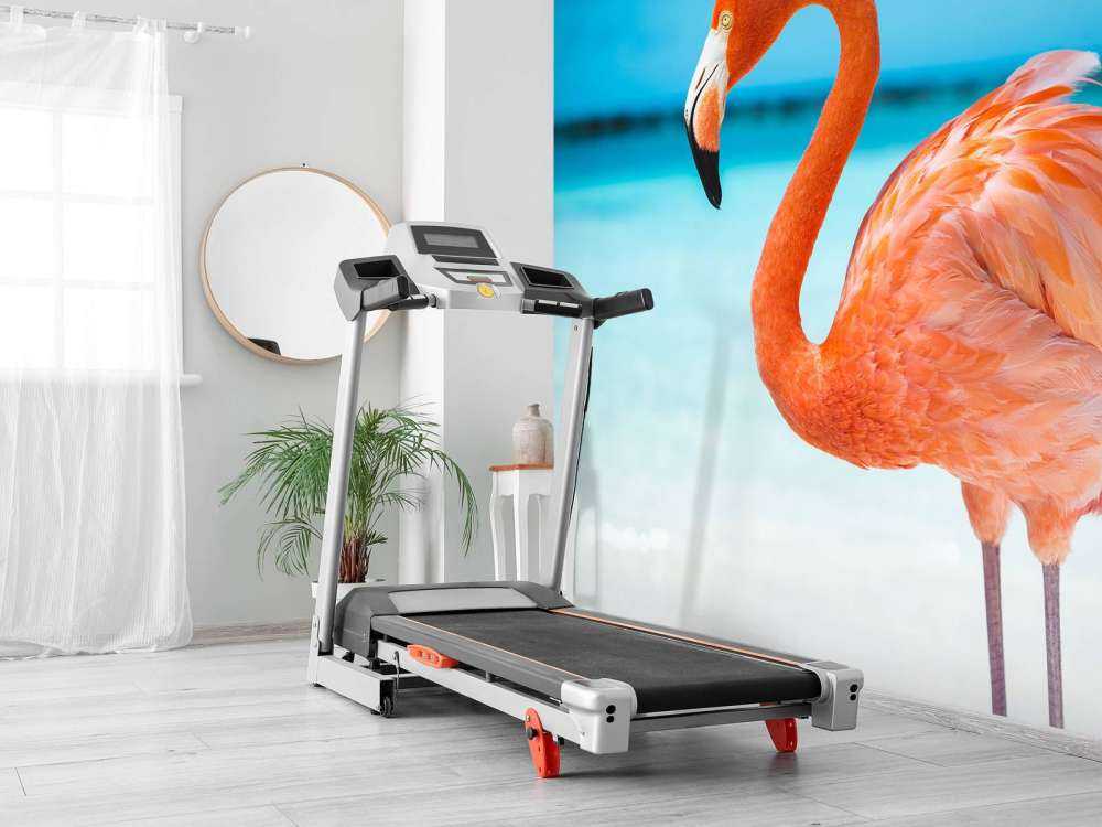 Tropisk flamingo