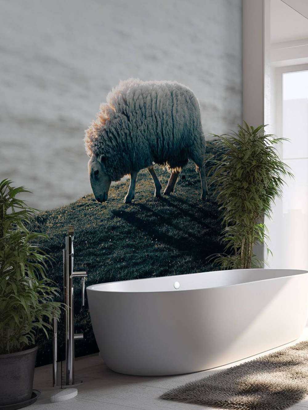 Græssende får
