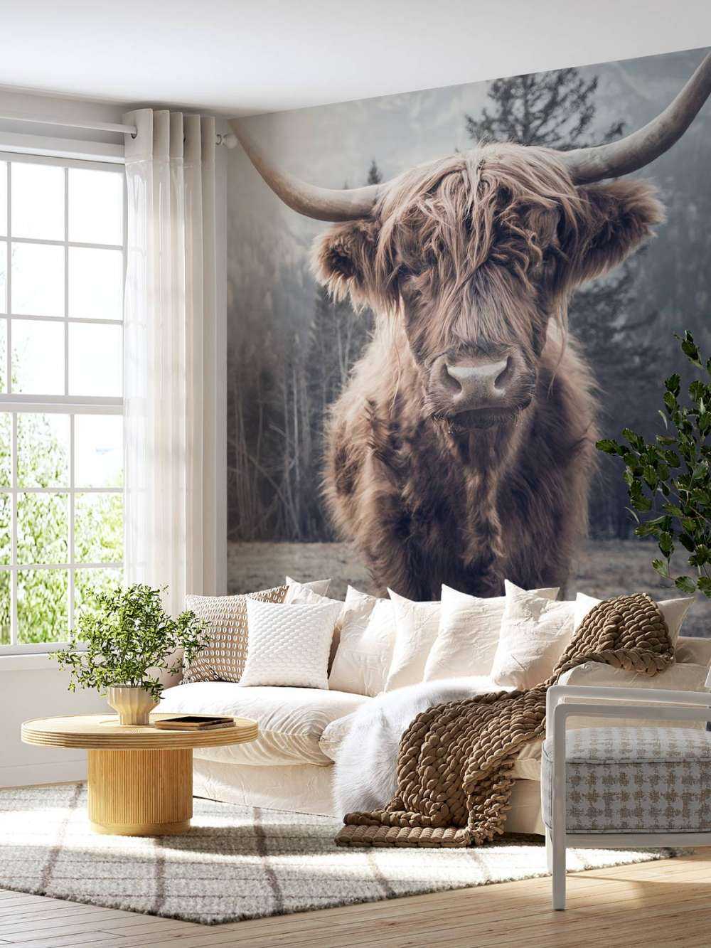 Scottish højlander ved skoven