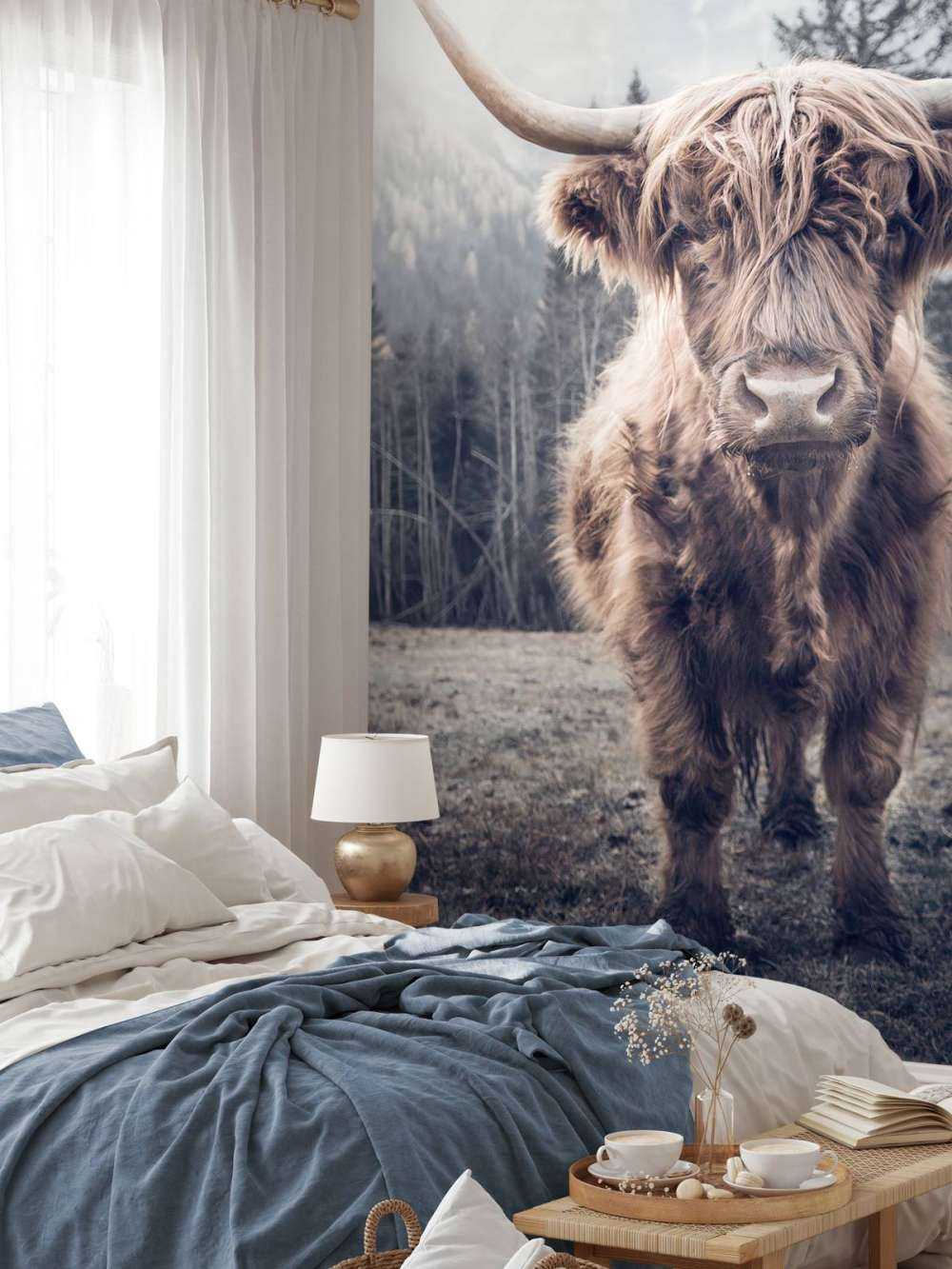 Scottish højlander ved skoven