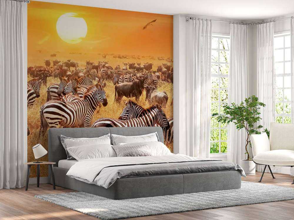 Savanna sol med zebraer