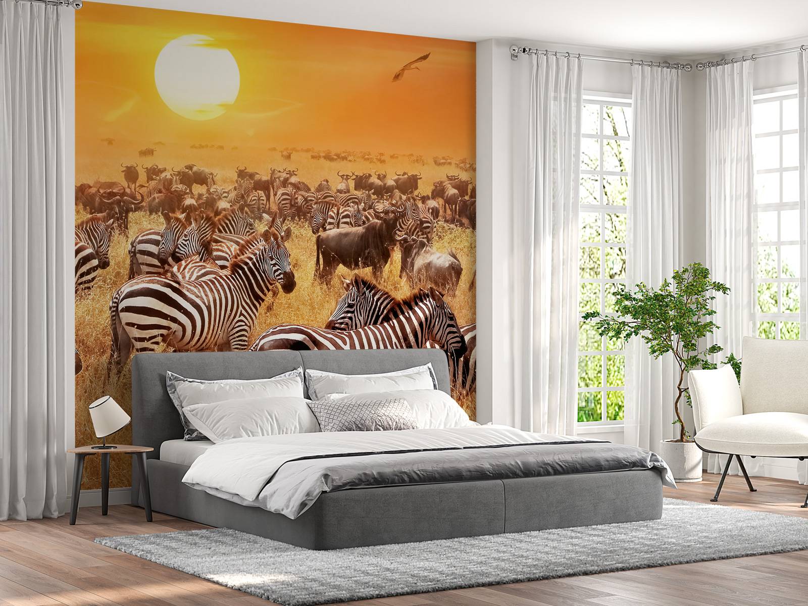Savanna sol med zebraer