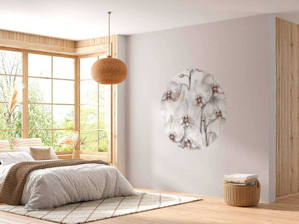 Orkideer Paradis Orange