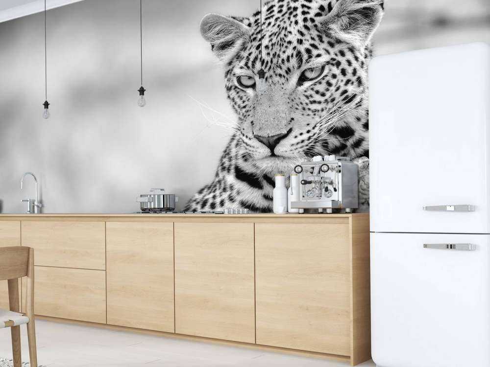 Leopard sort, hvid