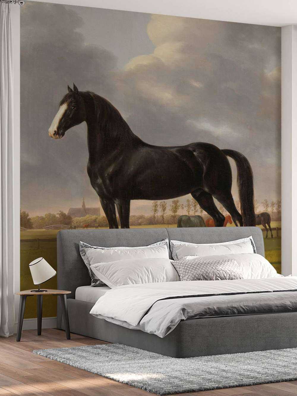 fototapet hest. Harddråer De Vlugge