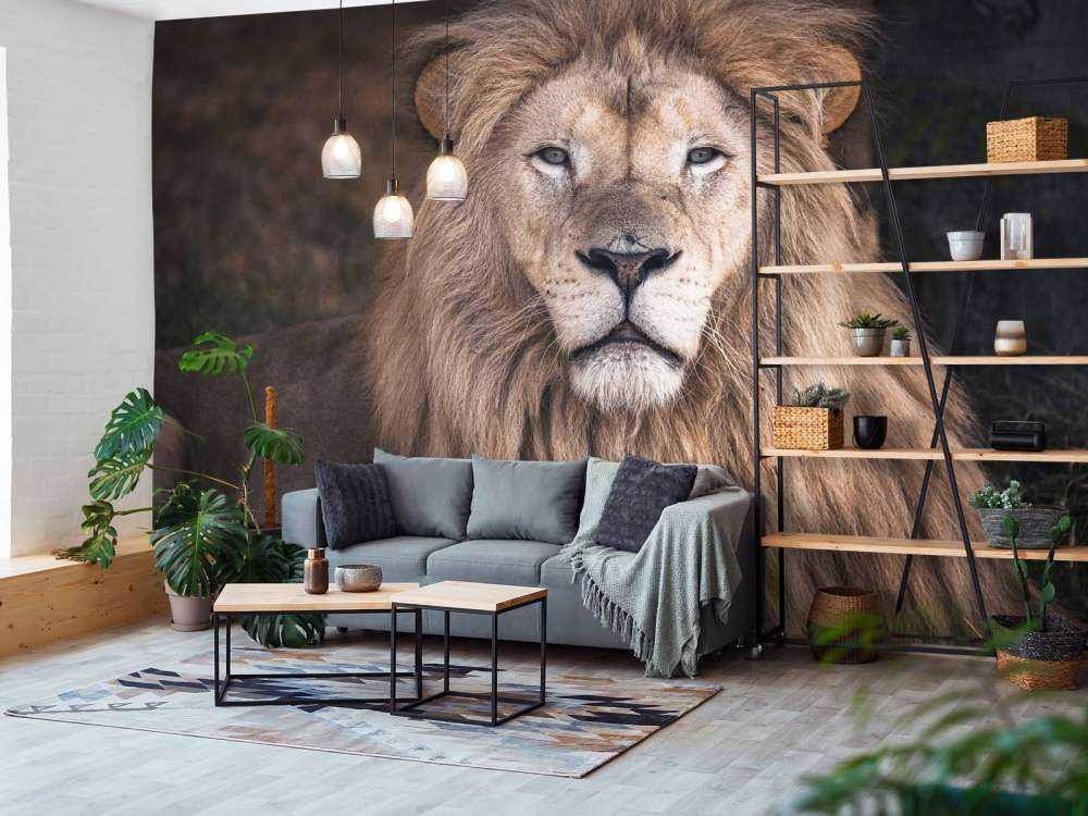 Portræt af en løve