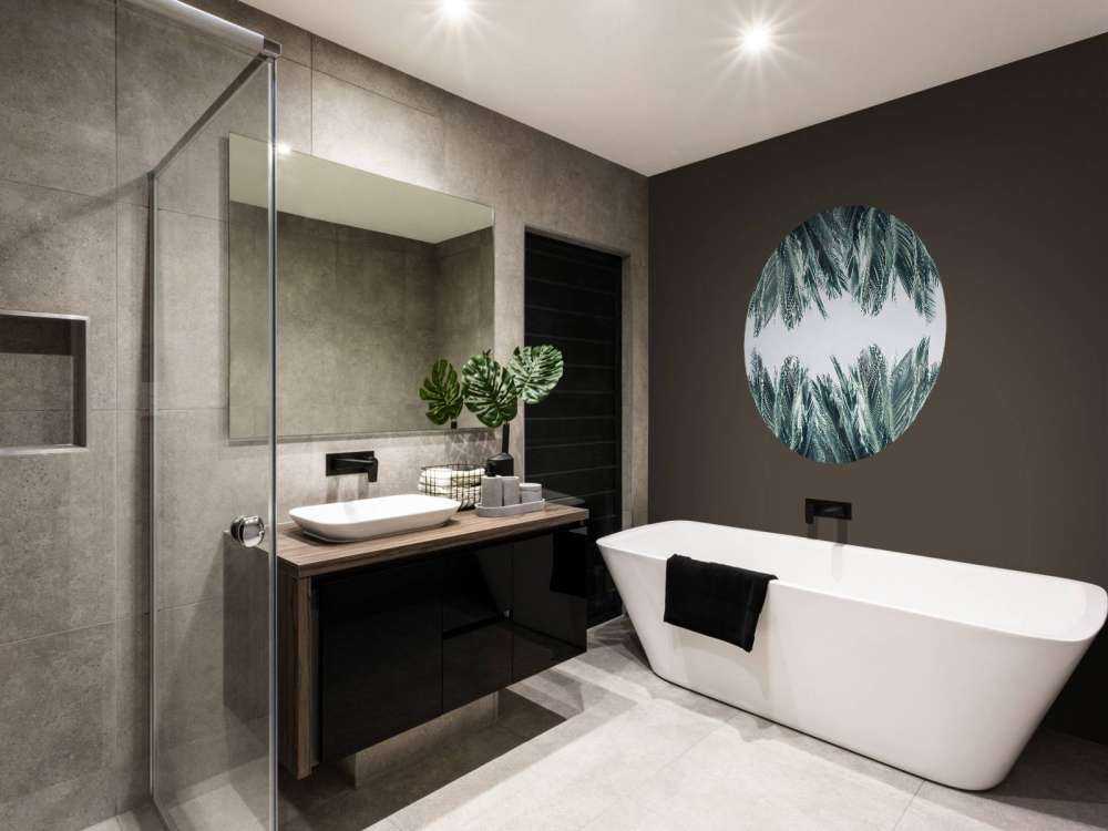 Palme blade på hvid baggrund