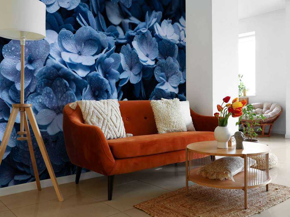 Nærbillede af hortensia