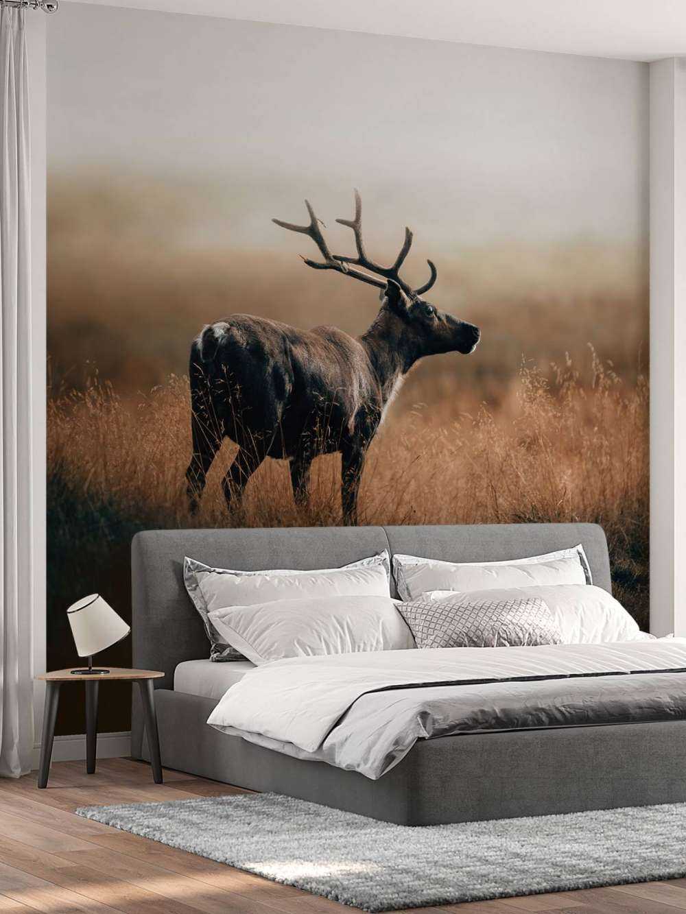 Rensdyr i det høje græs