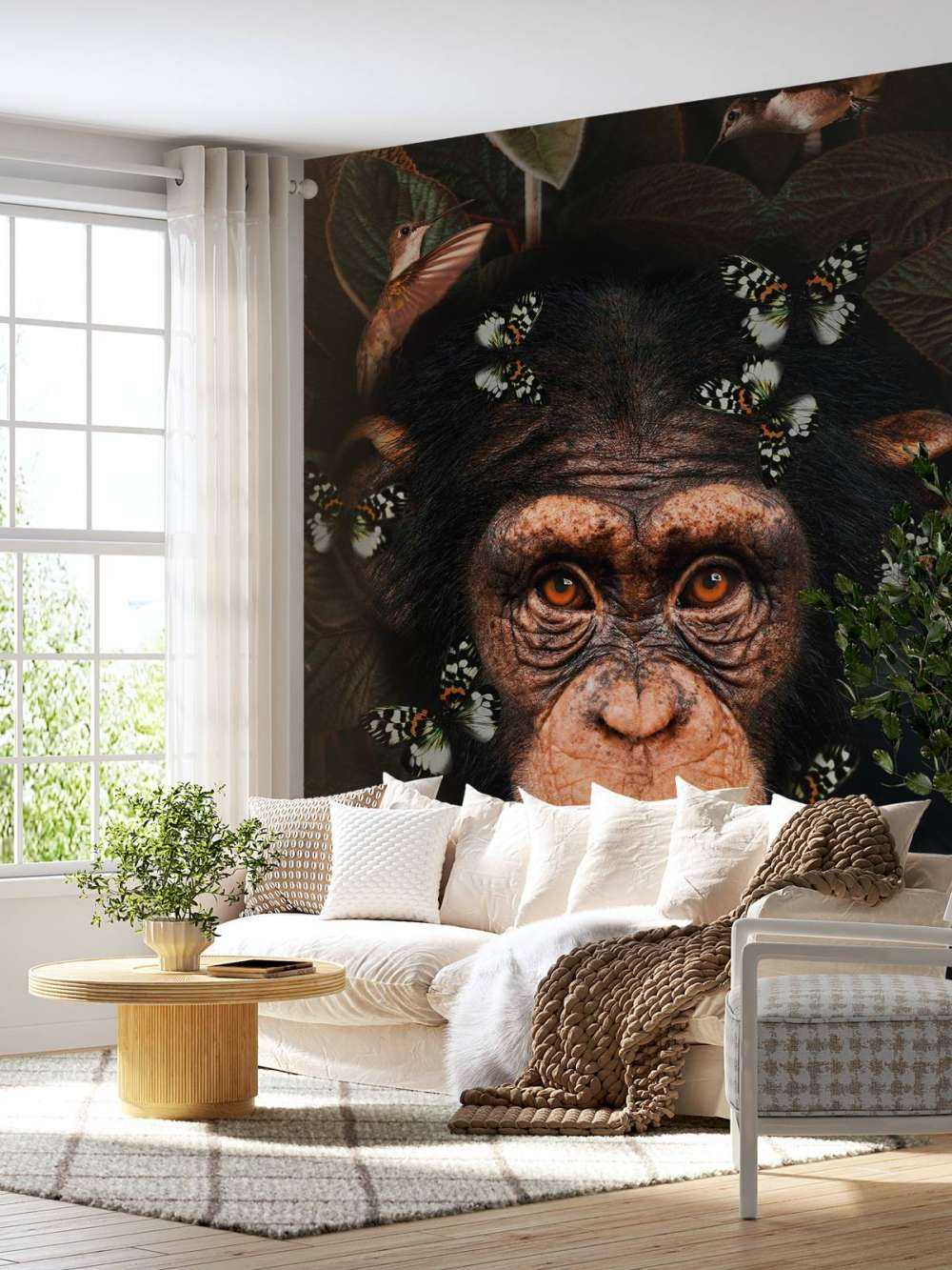 Tropical Chimpanzee Porträtt