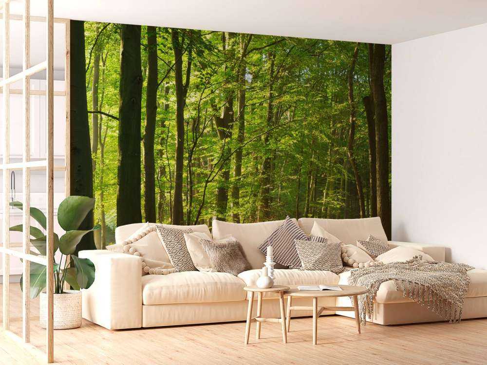 Solig väg till och med en skog