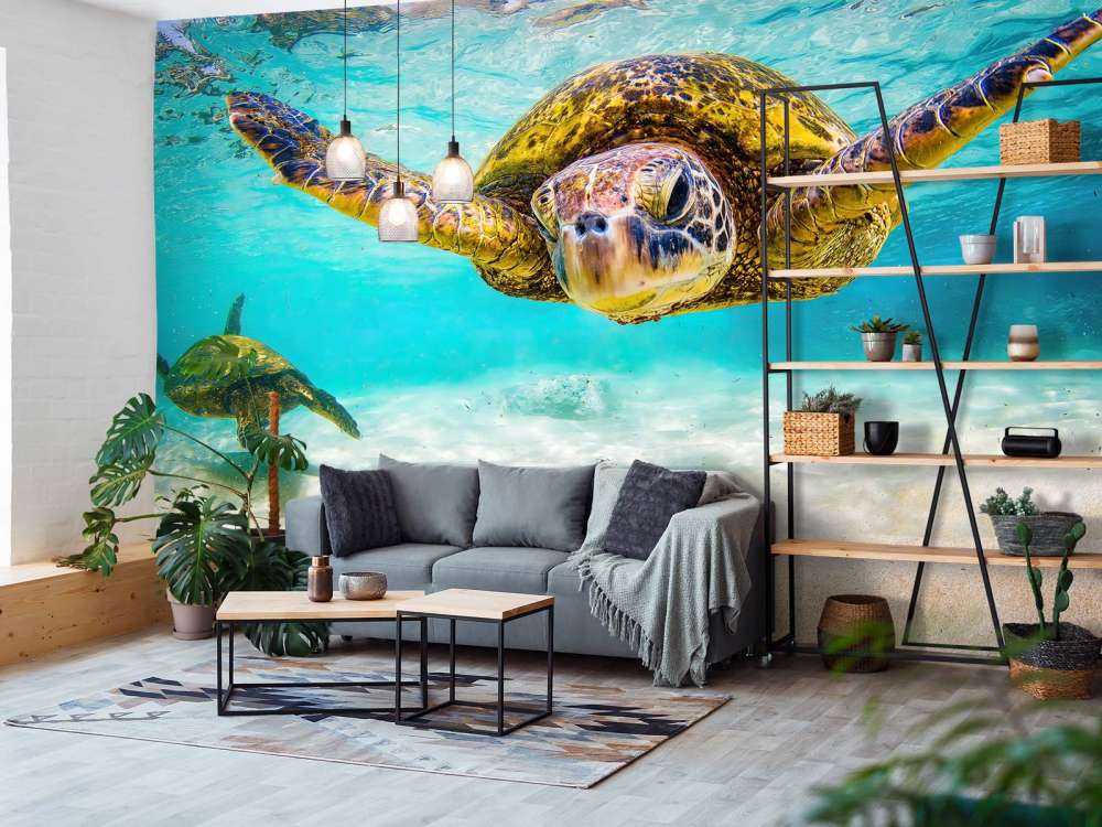 Havssköldpadda i havet