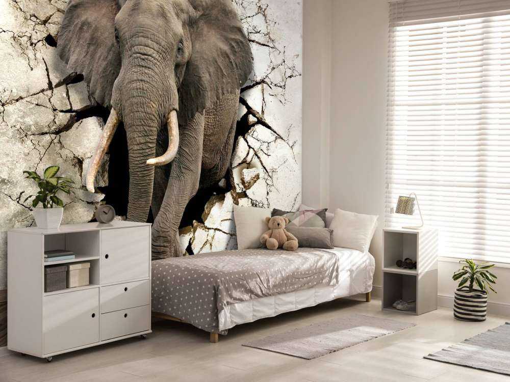 Stor elefant ur väggen