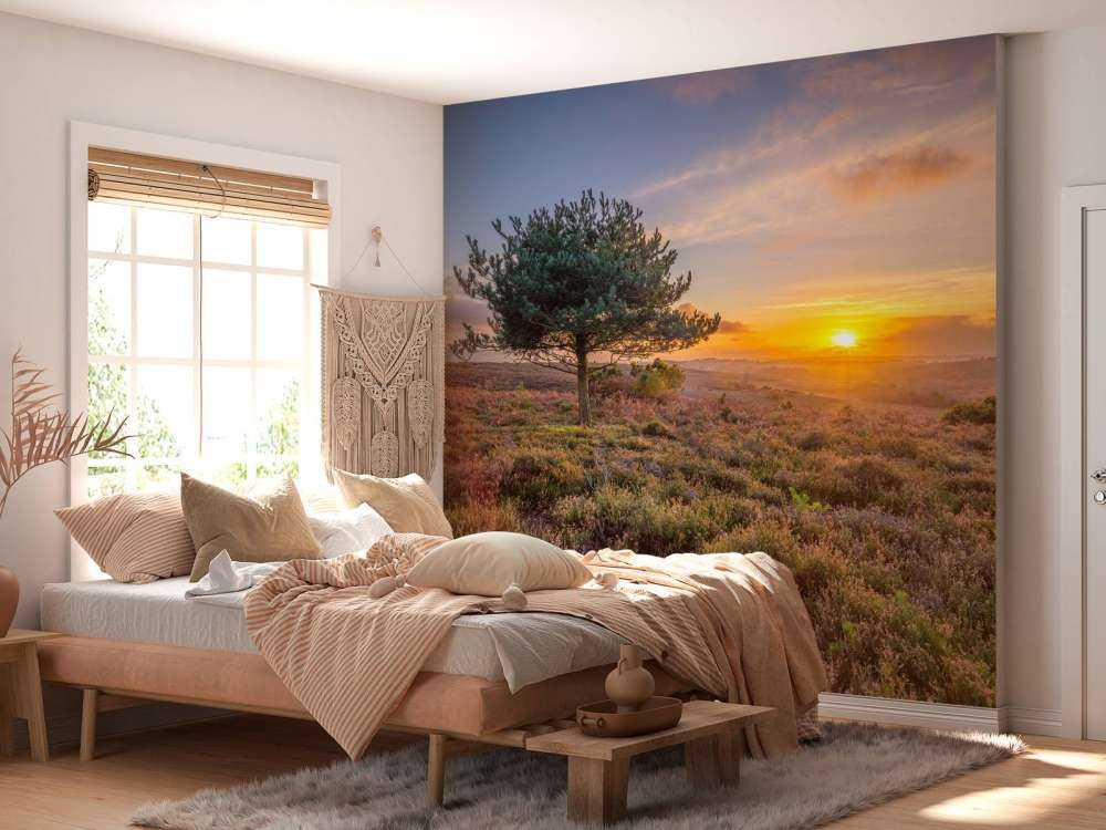 Solnedgång på heden