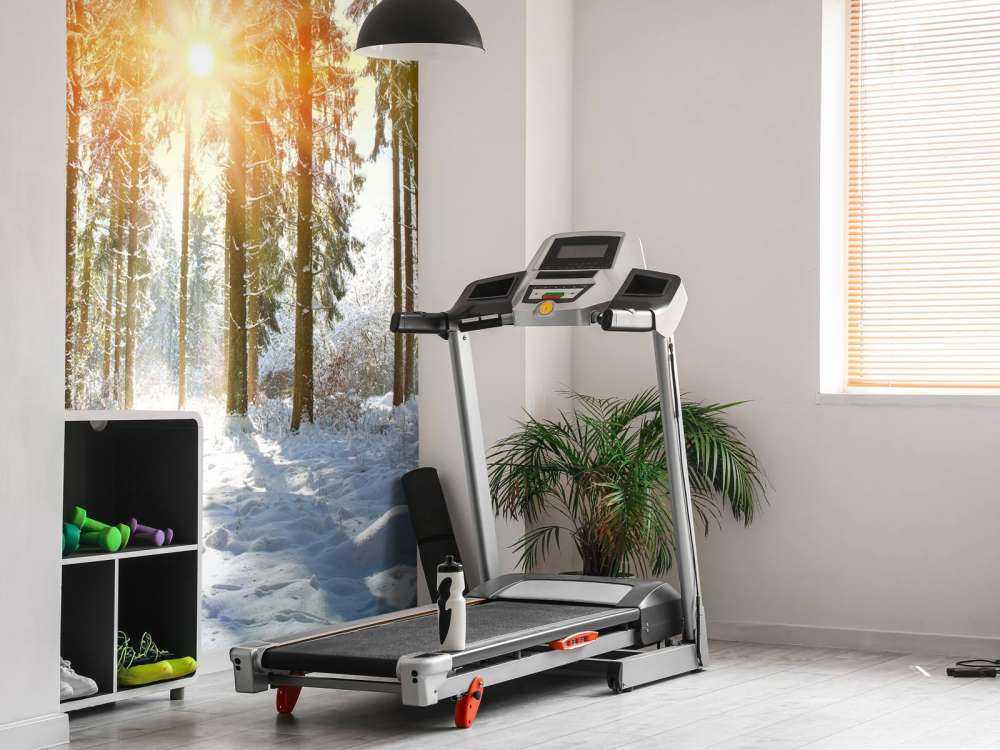 Solljus i vinterskog